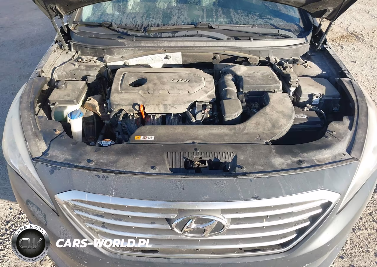 2016 Hyundai Sonata Se VIN:5NPE24AF2GH304373 - 10