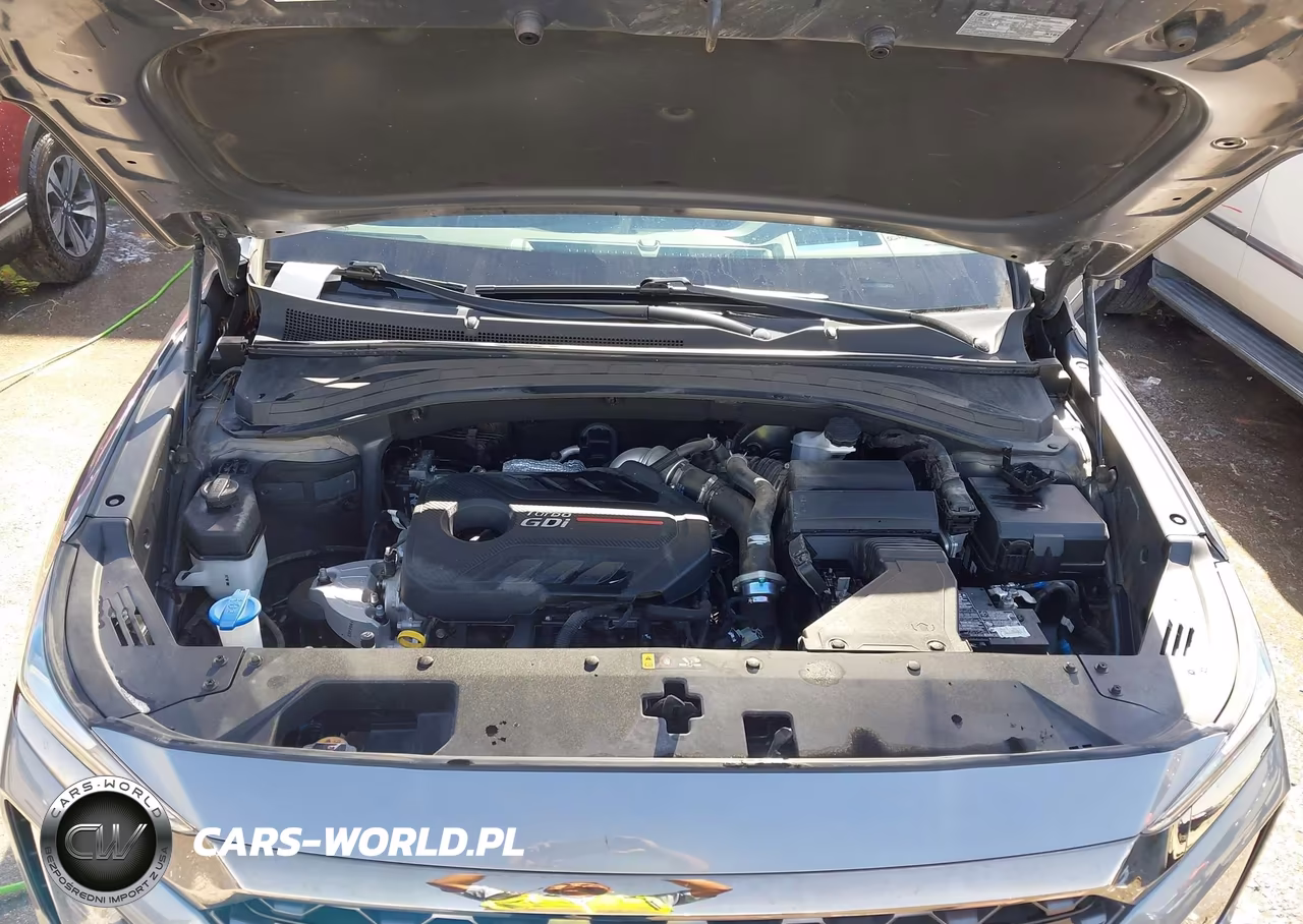 2020 Hyundai Santa Fe Limited 2.0T VIN:5NMS5CAA1LH163392 - 10