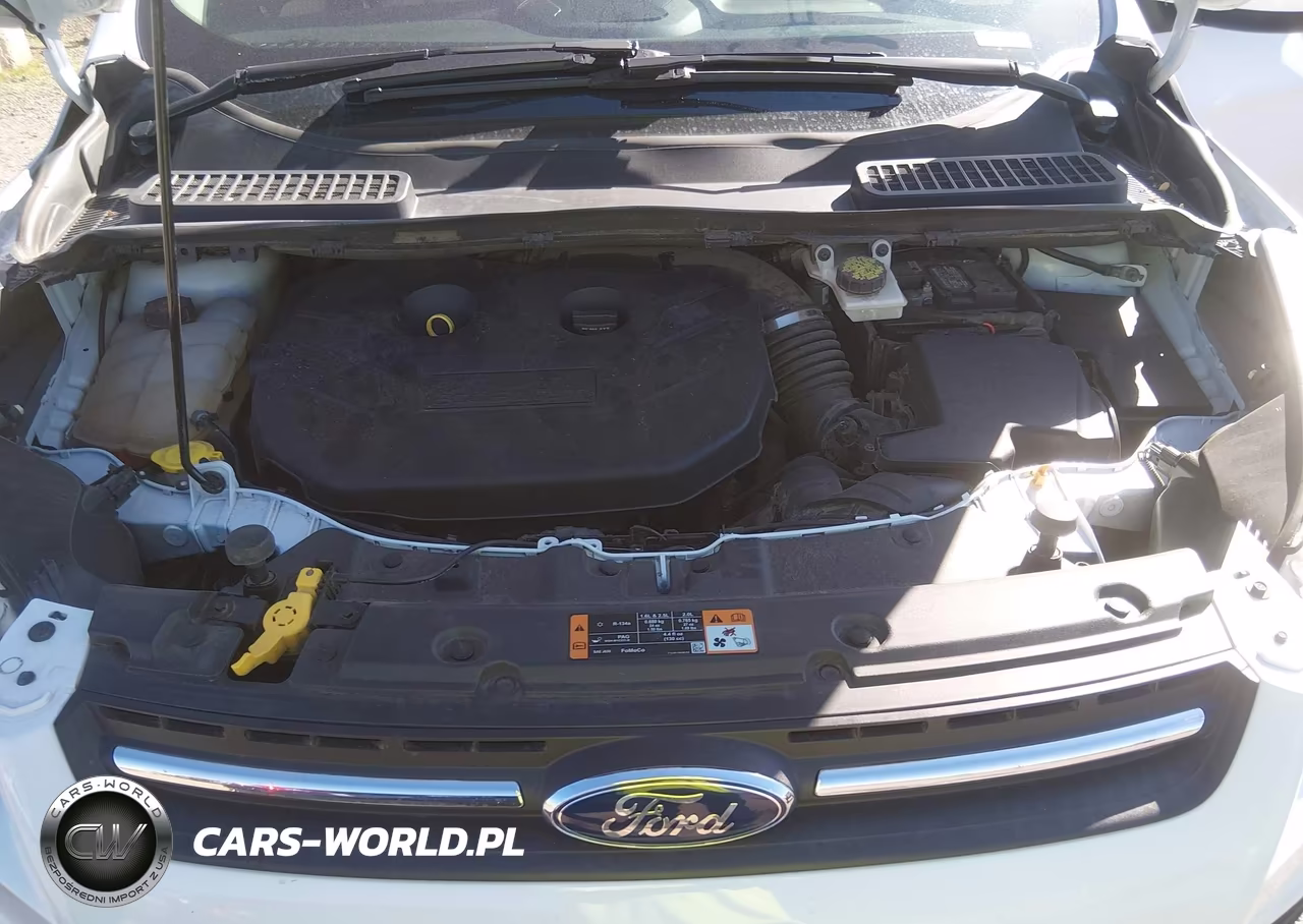 2015 Ford Escape Se VIN:1FMCU9G95FUC34089 - 10