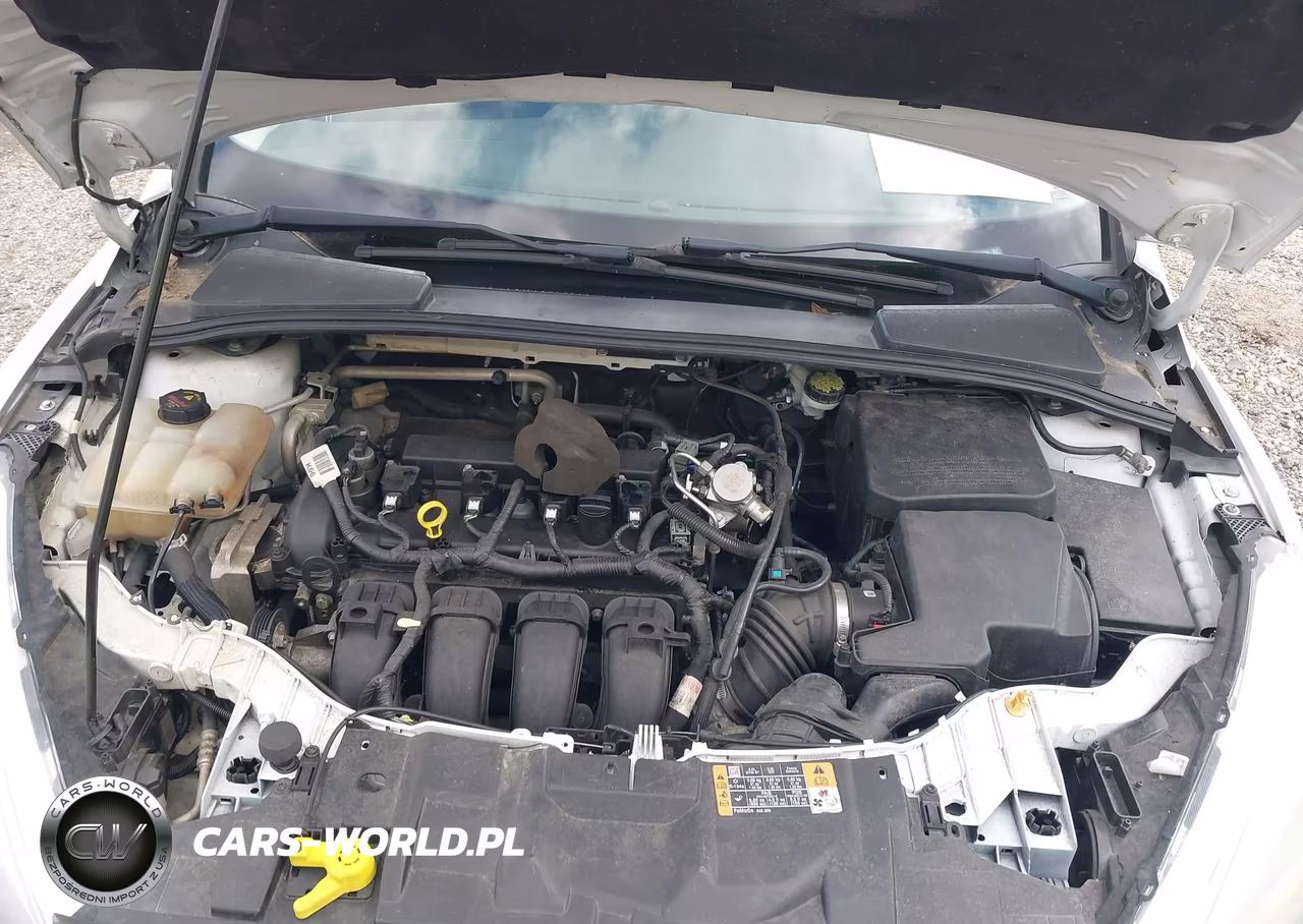 2015 Ford Focus Se VIN:1FADP3K23FL253310 - 10