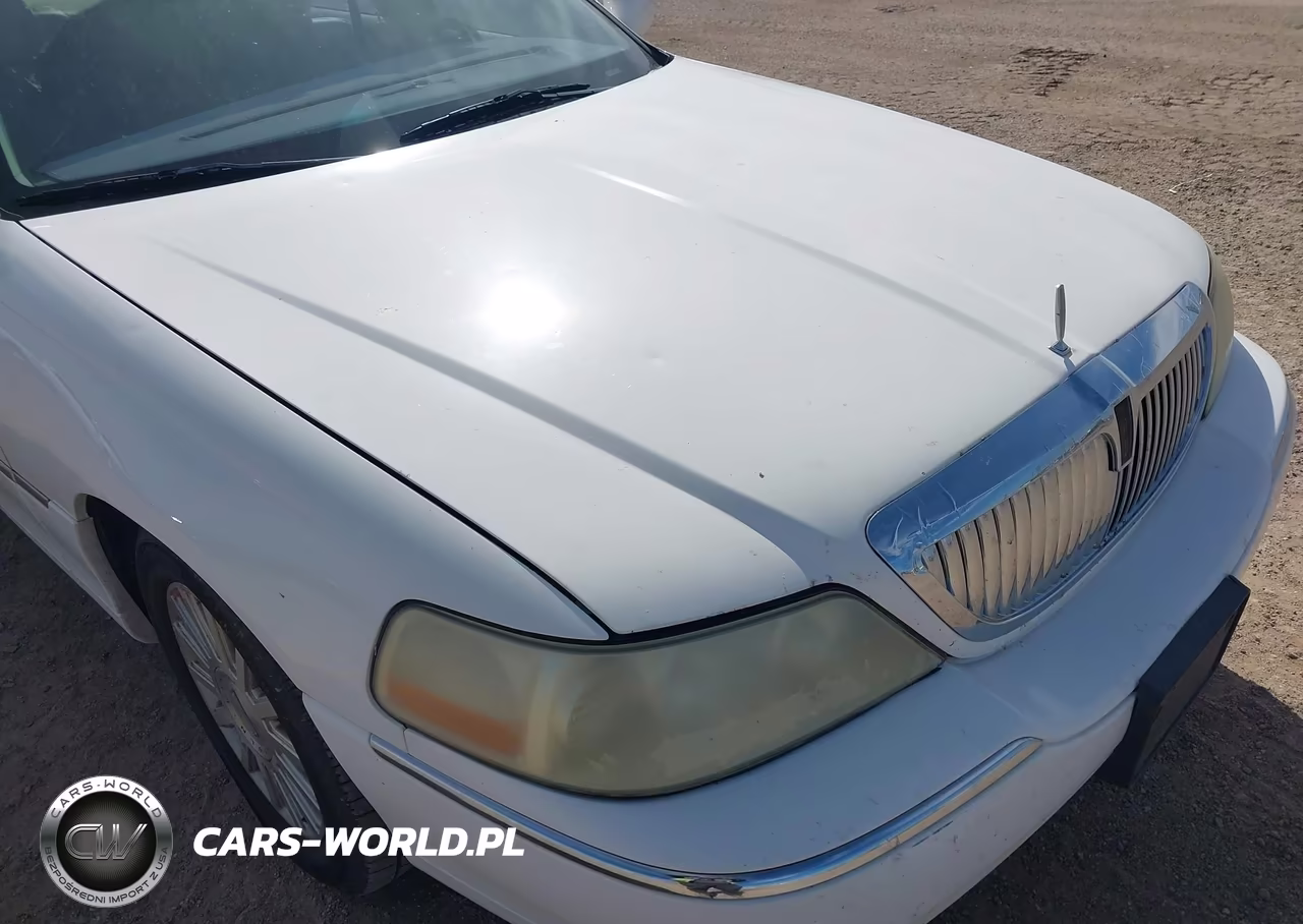 2003 Lincoln Town Car Executive VIN:1LNHM81W73Y703895 - 6