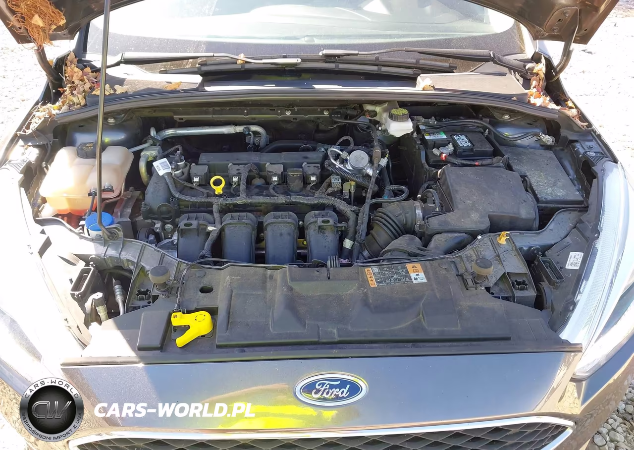 2018 Ford Focus Se VIN:1FADP3K29JL264949 - 10