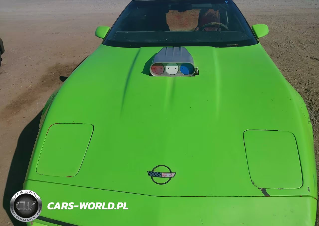 1984 Chevrolet Corvette VIN:1G1AY0789E5145257 - 10
