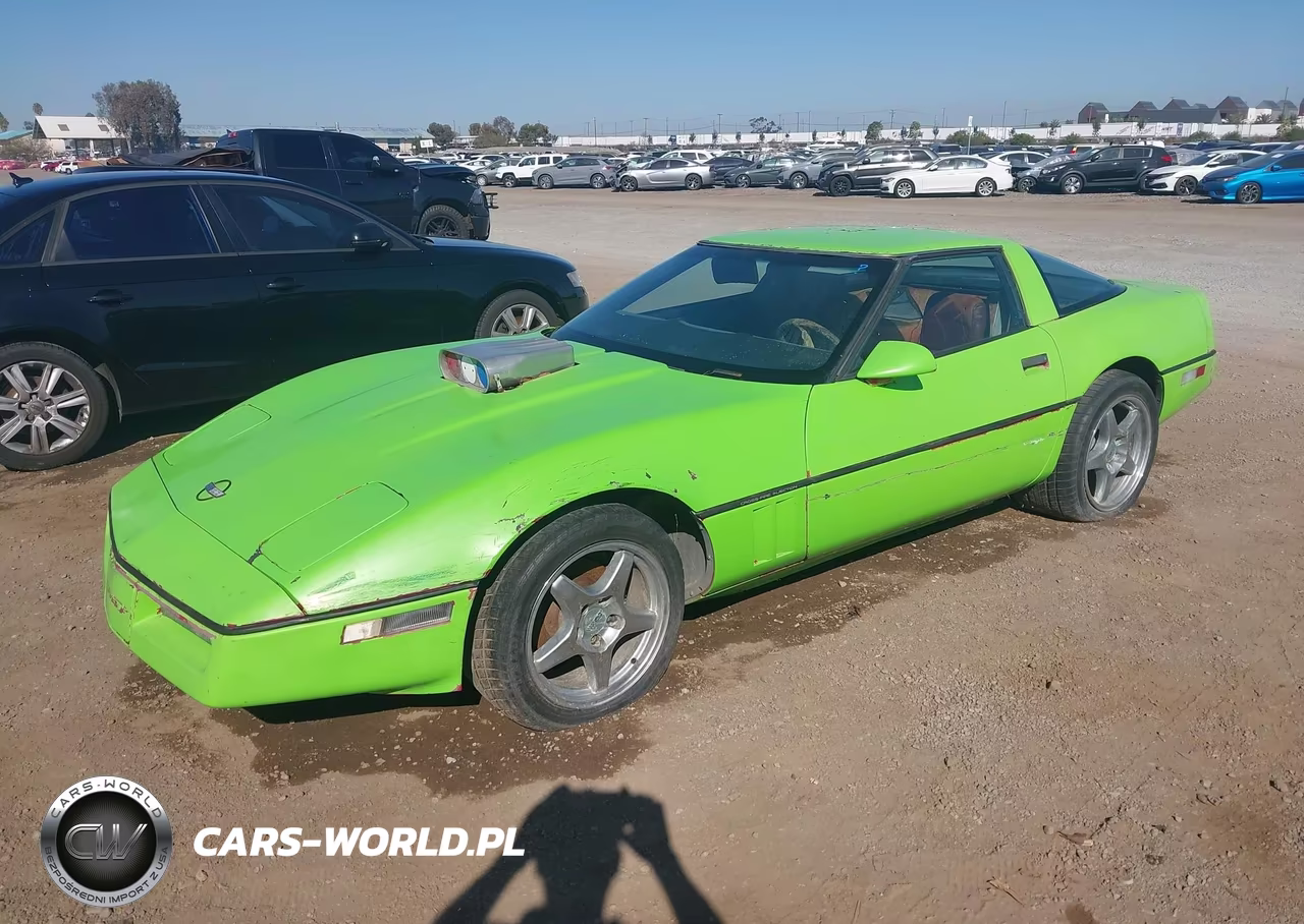 1984 Chevrolet Corvette VIN:1G1AY0789E5145257 - 2