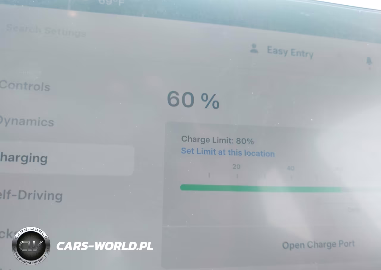 2026 Tesla Model Y All-Wheel Drive-Long Range Launch Series-Premium All-Wheel Drive VIN:7SAYGDEEXTA662135 - 16