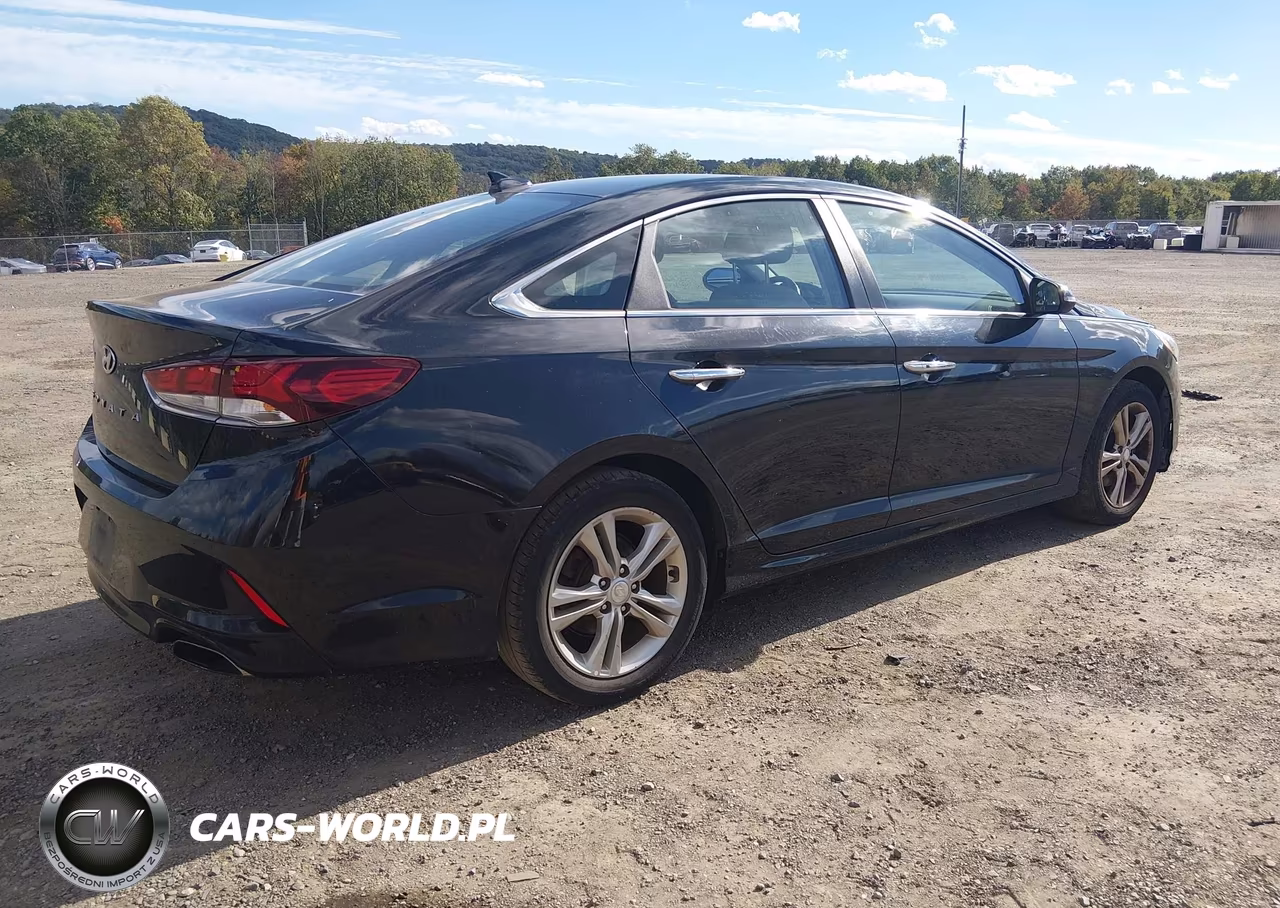 2018 Hyundai Sonata Sel+ VIN:5NPE34AF0JH713444 - 4