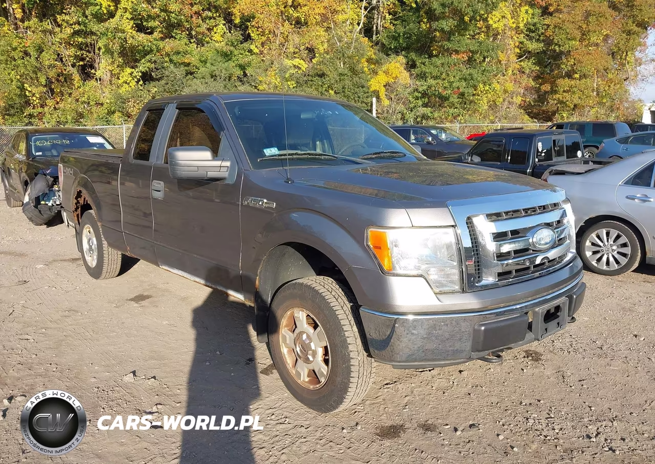 2009 Ford F-150 Stx-Xl-Xlt