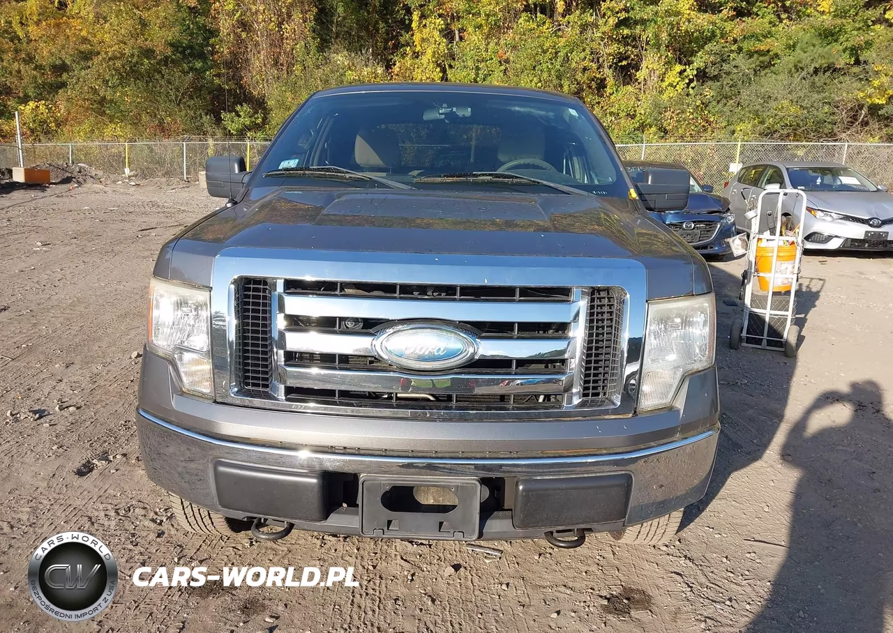 2009 Ford F-150 Stx-Xl-Xlt VIN:1FTRX14869FA78818 - 12