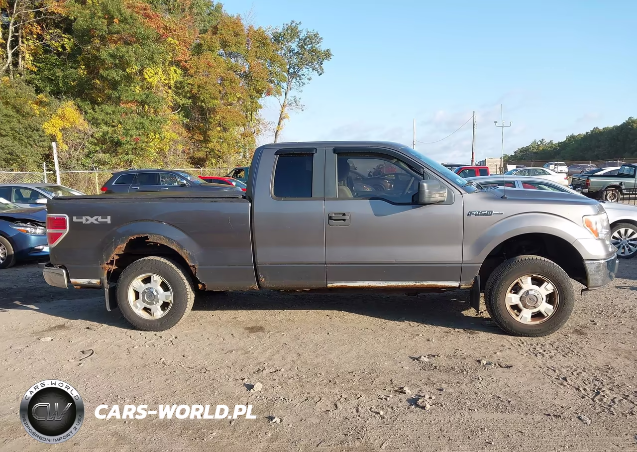 2009 Ford F-150 Stx-Xl-Xlt VIN:1FTRX14869FA78818 - 13