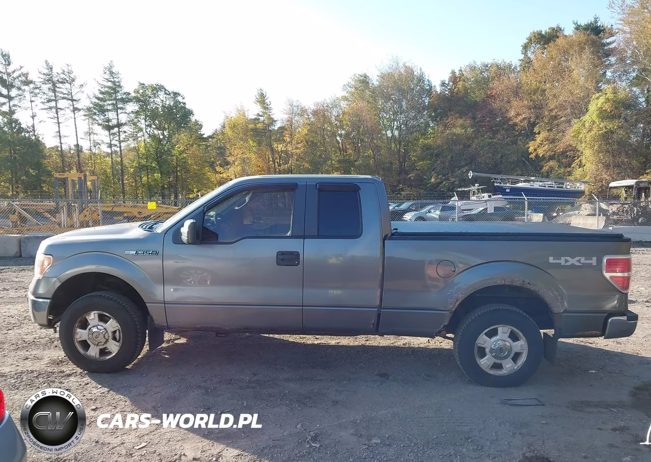 2009 Ford F-150 Stx-Xl-Xlt VIN:1FTRX14869FA78818 - 14