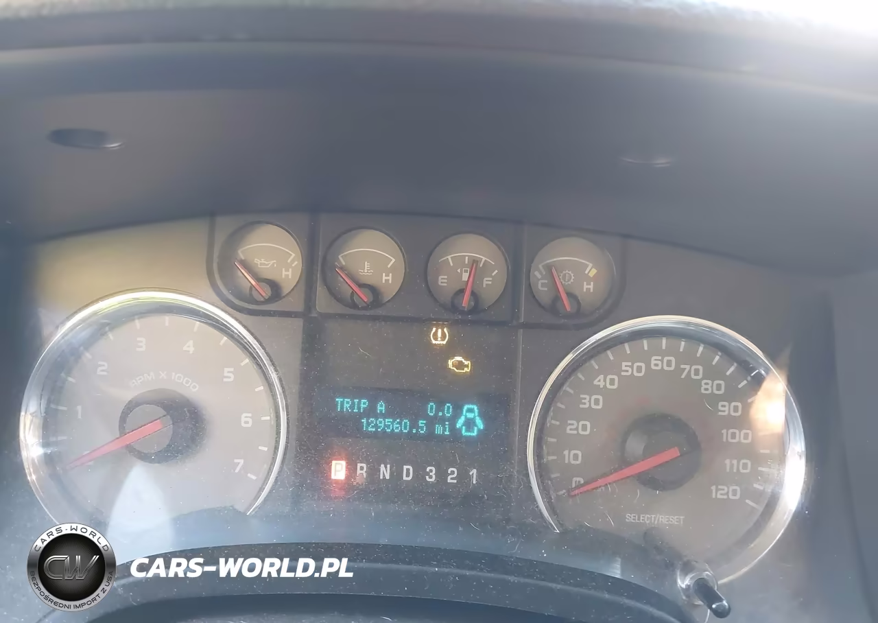2009 Ford F-150 Stx-Xl-Xlt VIN:1FTRX14869FA78818 - 15