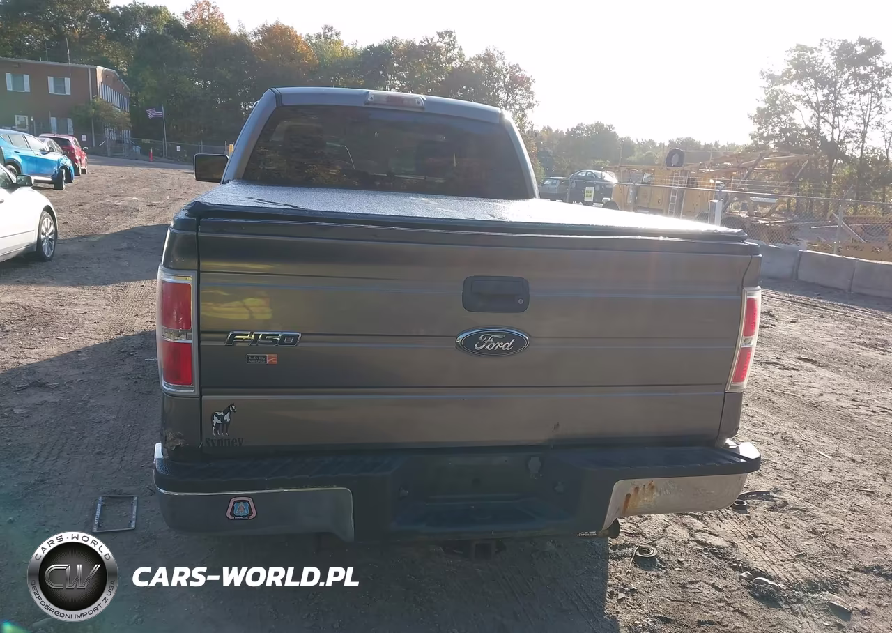 2009 Ford F-150 Stx-Xl-Xlt VIN:1FTRX14869FA78818 - 16