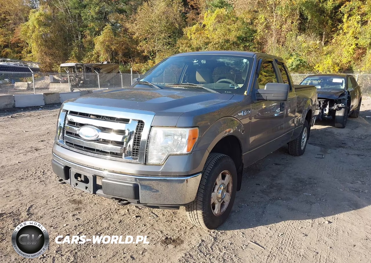 2009 Ford F-150 Stx-Xl-Xlt VIN:1FTRX14869FA78818 - 2