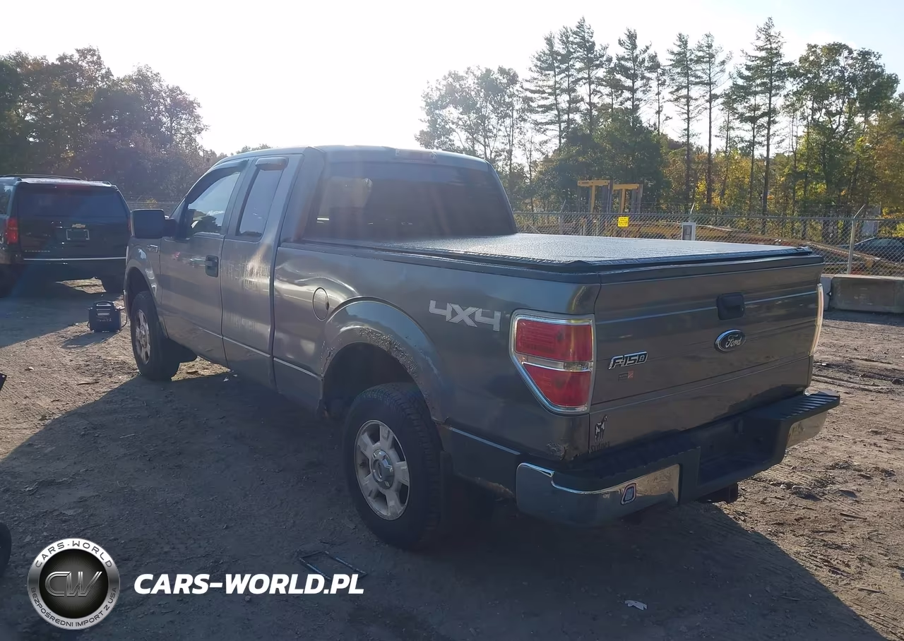 2009 Ford F-150 Stx-Xl-Xlt VIN:1FTRX14869FA78818 - 3
