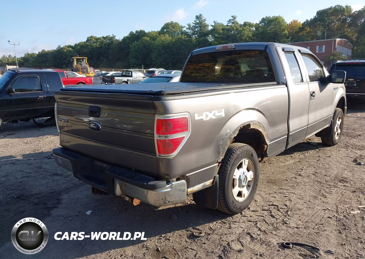2009 Ford F-150 Stx-Xl-Xlt VIN:1FTRX14869FA78818 - 4
