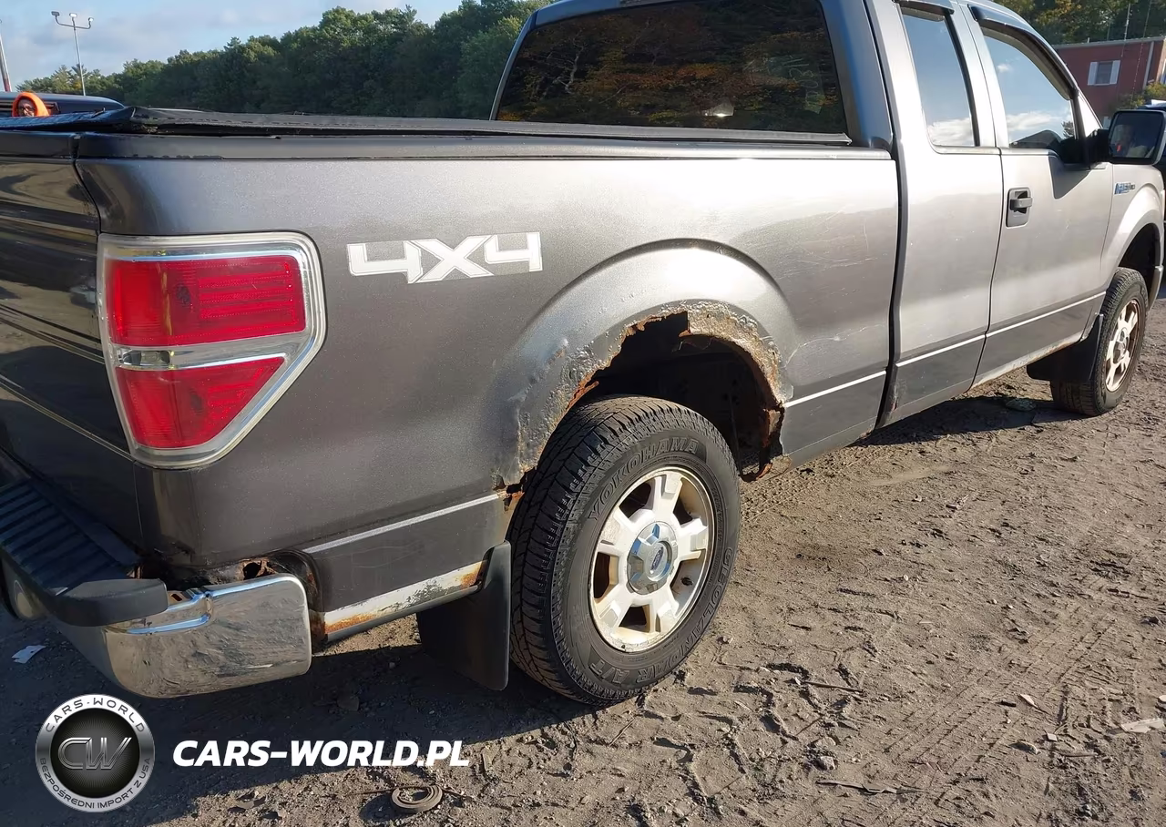 2009 Ford F-150 Stx-Xl-Xlt VIN:1FTRX14869FA78818 - 6