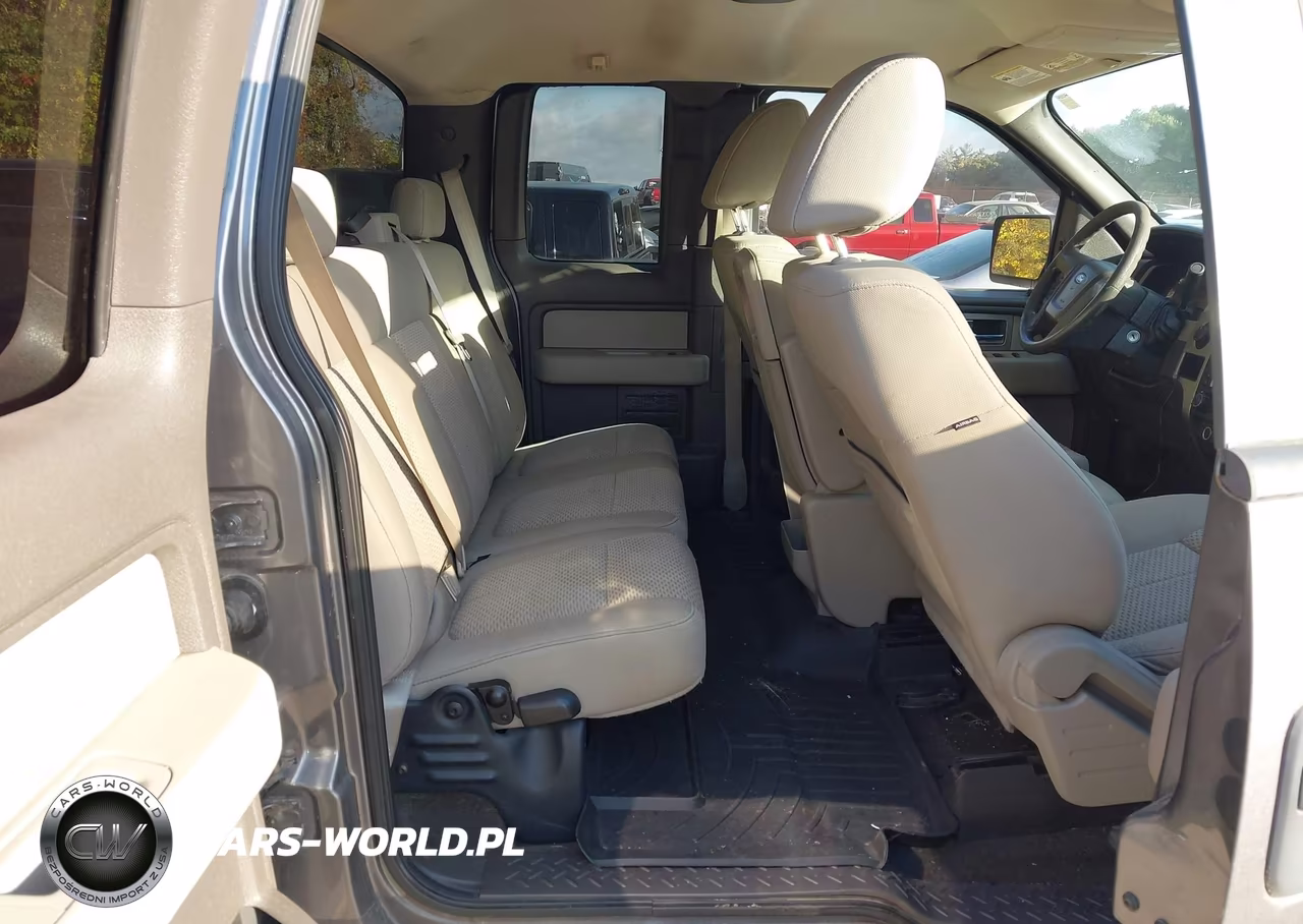 2009 Ford F-150 Stx-Xl-Xlt VIN:1FTRX14869FA78818 - 8