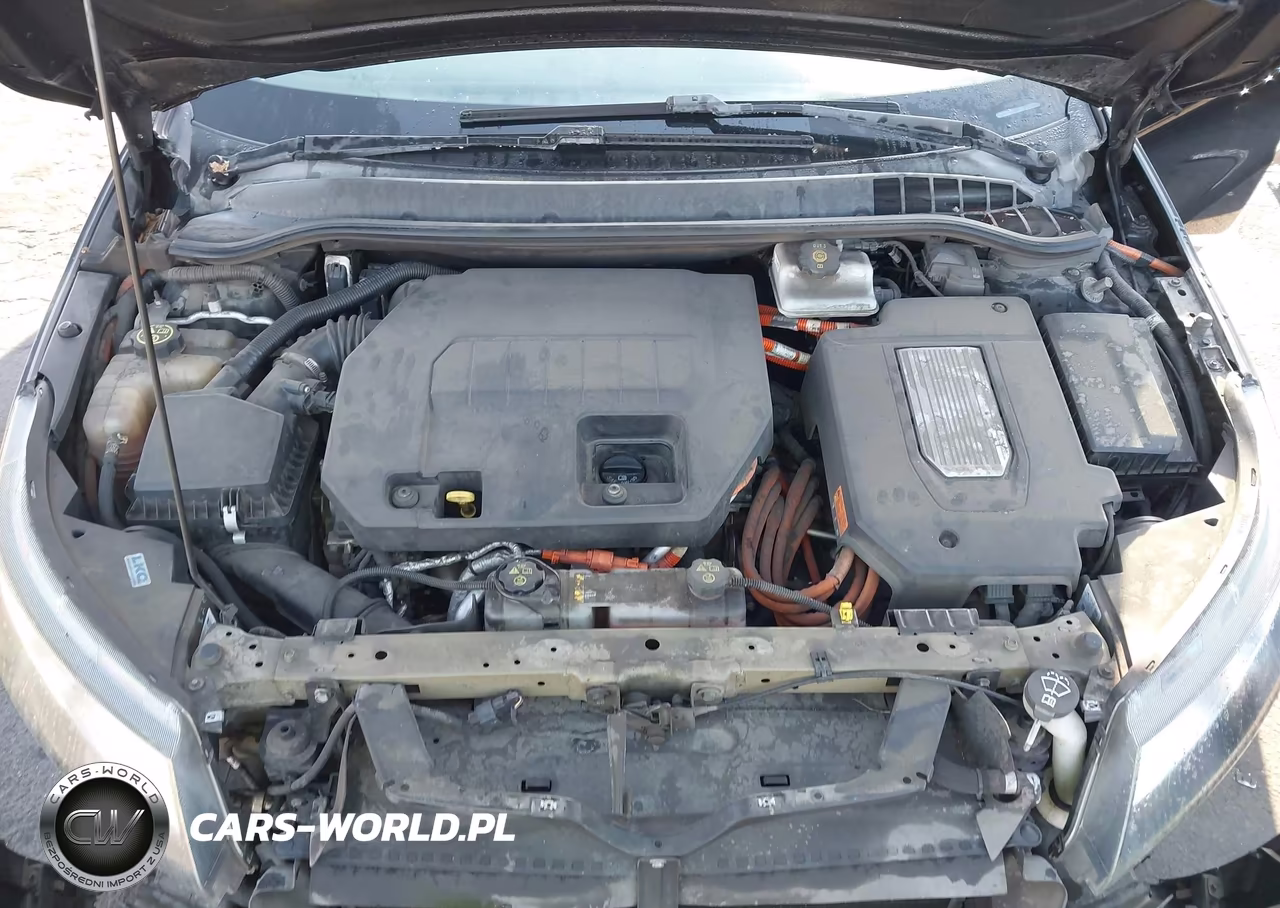 2013 Chevrolet Volt VIN:1G1RE6E49DU126548 - 10