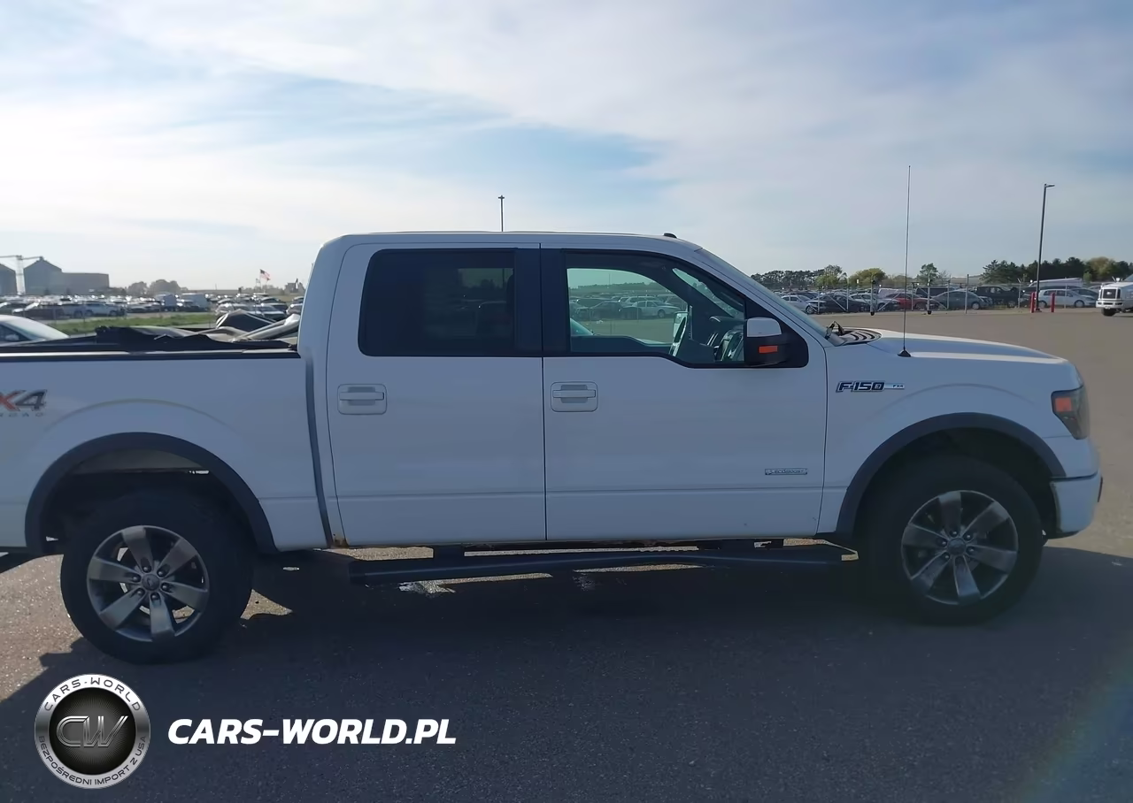 2014 Ford F-150 Fx4 VIN:1FTFW1ET1EKG49142 - 13