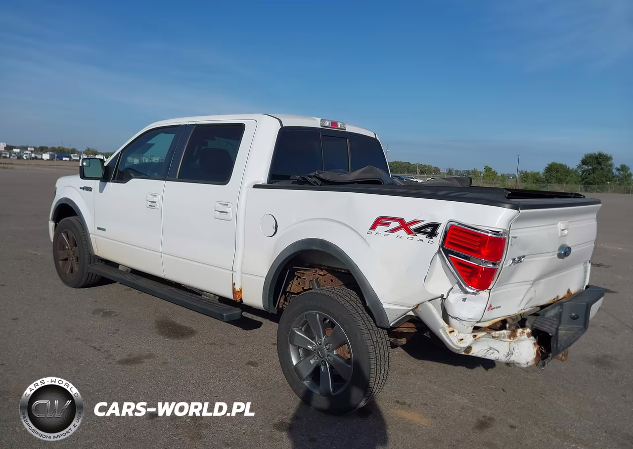 2014 Ford F-150 Fx4 VIN:1FTFW1ET1EKG49142 - 3