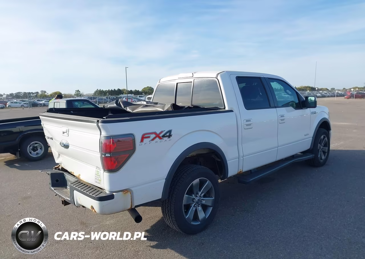 2014 Ford F-150 Fx4 VIN:1FTFW1ET1EKG49142 - 4