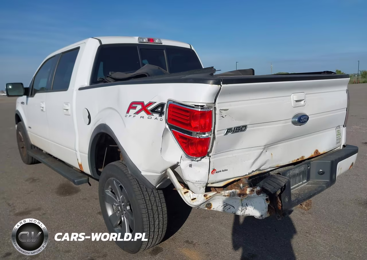 2014 Ford F-150 Fx4 VIN:1FTFW1ET1EKG49142 - 6