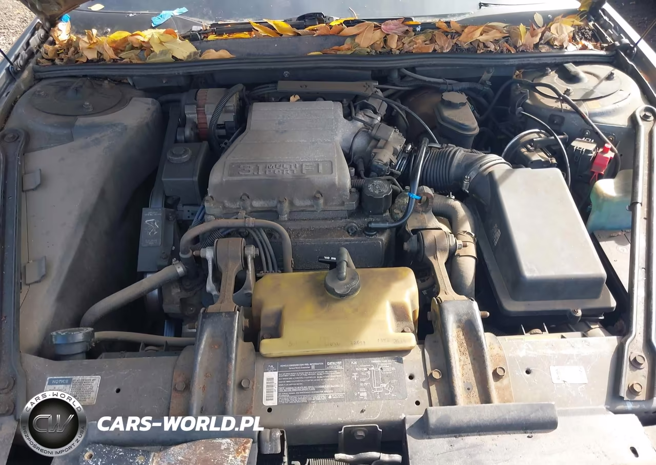 1990 Buick Regal Limited VIN:2G4WD14T2L1401708 - 10