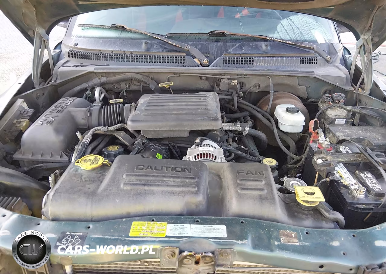 2000 Dodge Durango VIN:1B4HS28N3YF268961 - 10