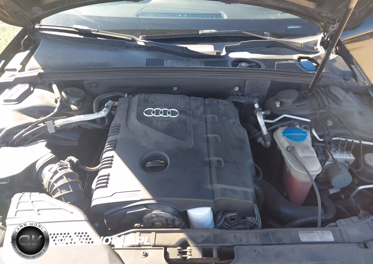 2009 Audi A4 2.0T Premium VIN:WAUJF78K69N055244 - 10