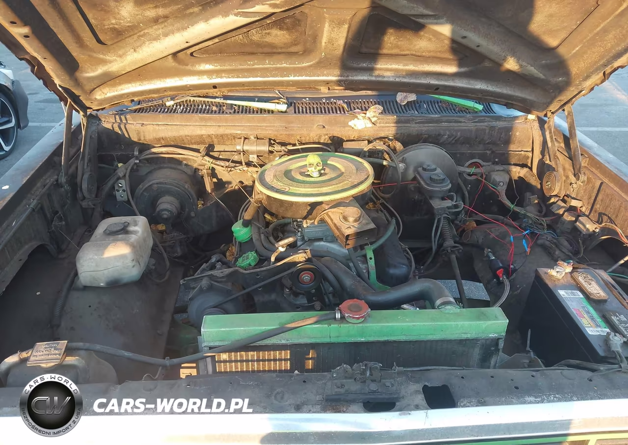 1991 Dodge D-Series D150 VIN:1B7GE16YXMS203135 - 10