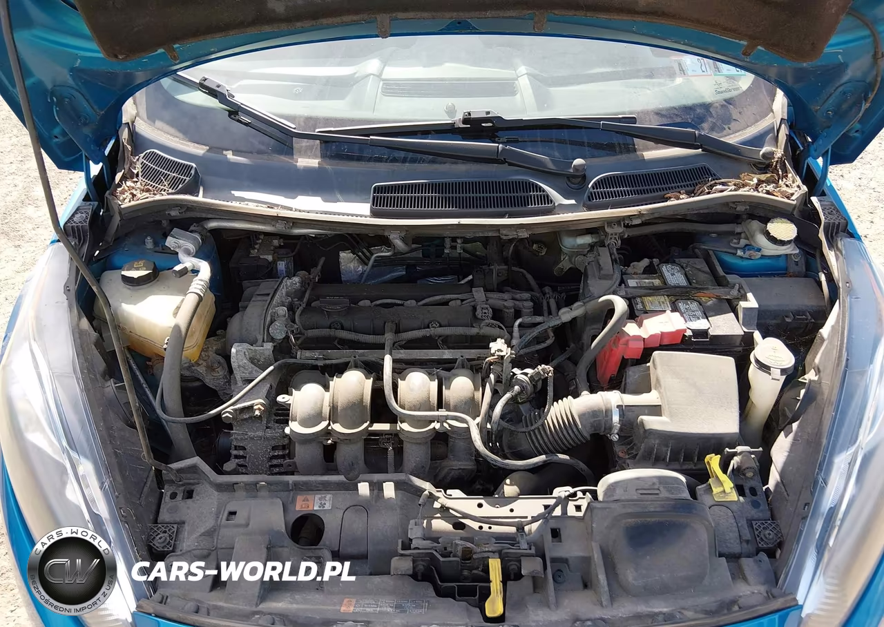 2016 Ford Fiesta Se VIN:3FADP4BJ3GM205884 - 10