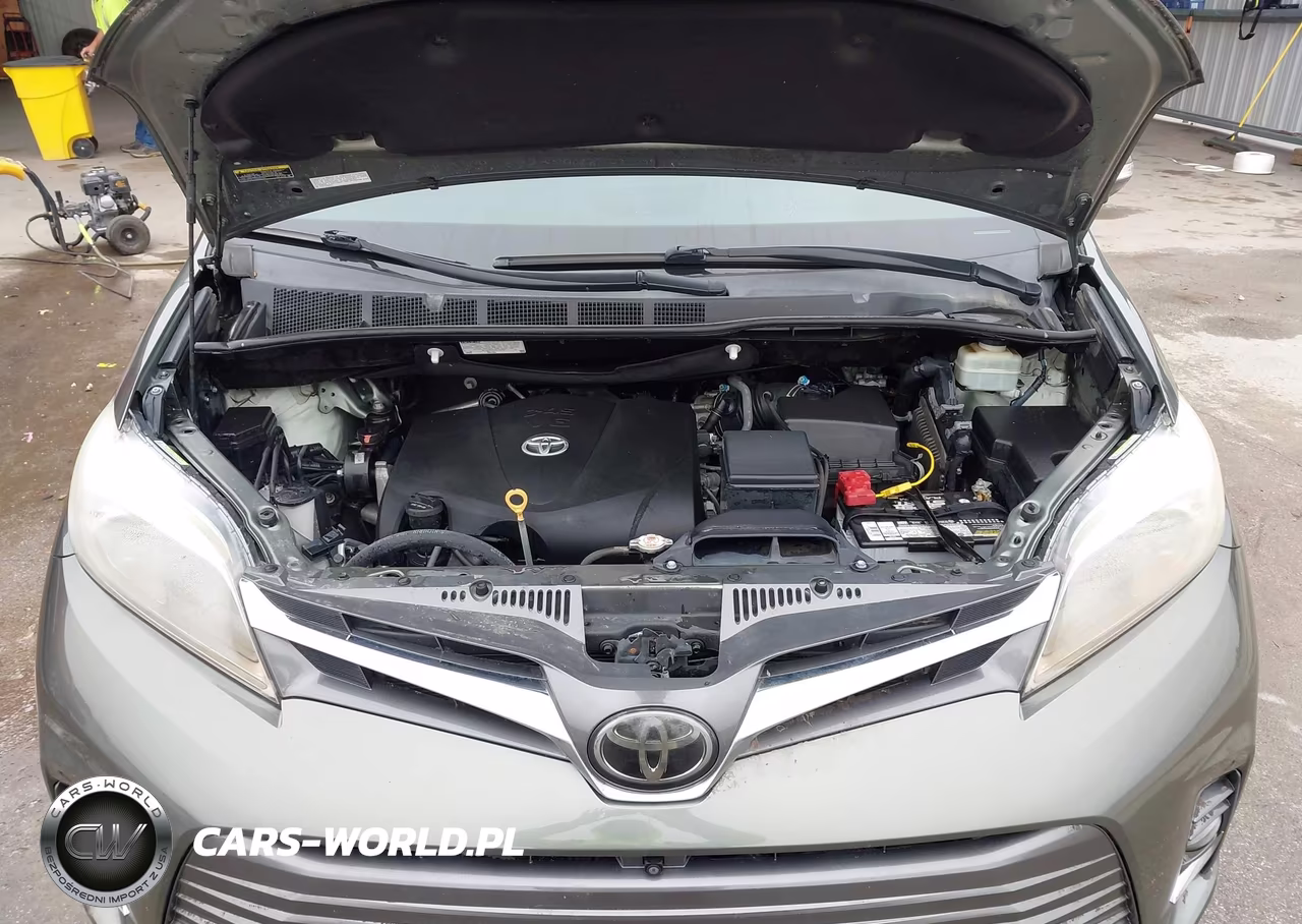 2019 Toyota Sienna Limited Premium 7 Passenger VIN:5TDDZ3DC6KS227996 - 10