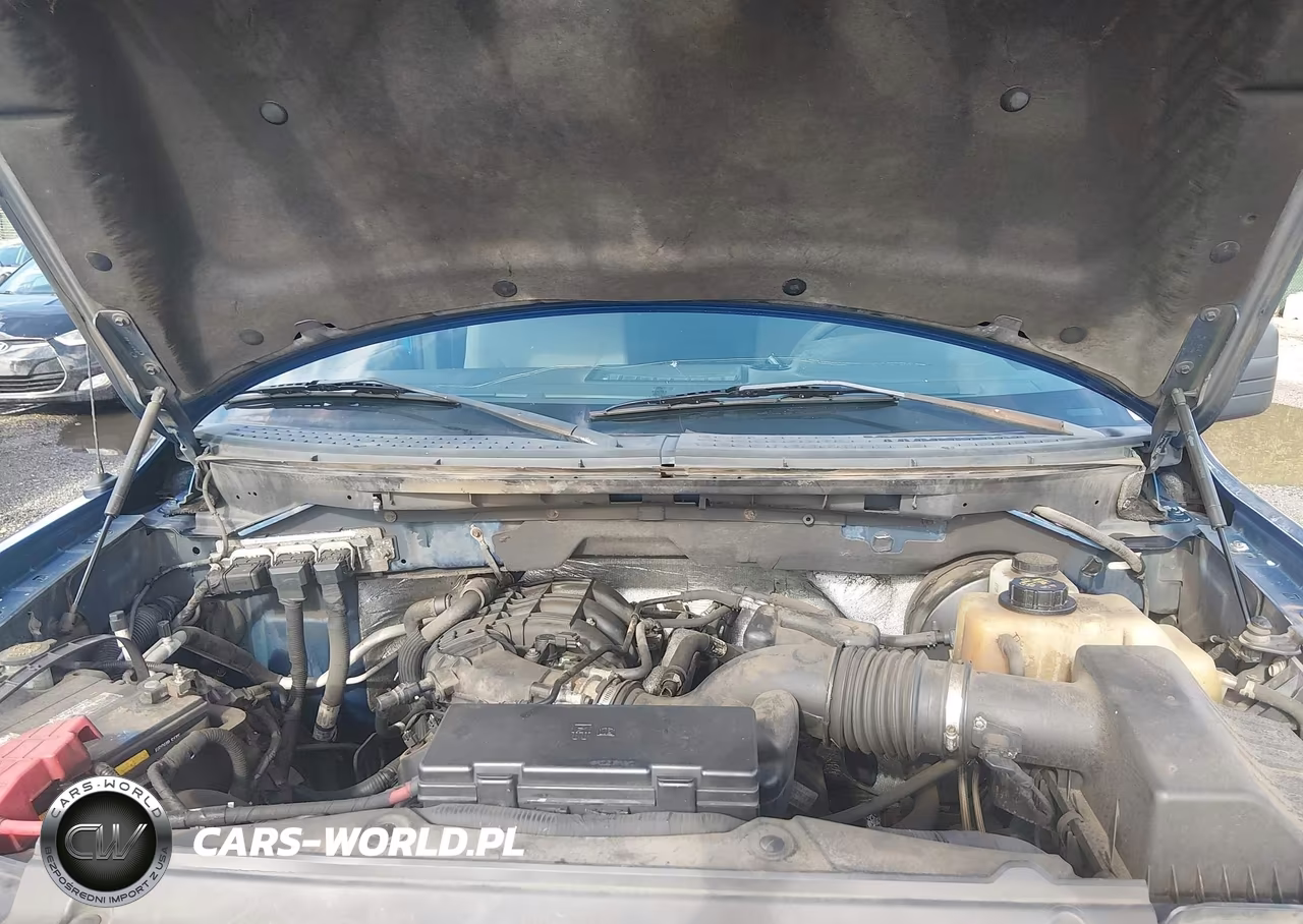 2011 Ford F-150 Stx VIN:1FTEX1CM2BKD00877 - 10