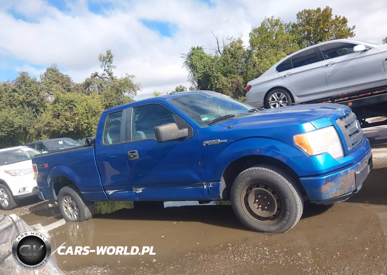 2011 Ford F-150 Stx VIN:1FTEX1CM2BKD00877 - 13