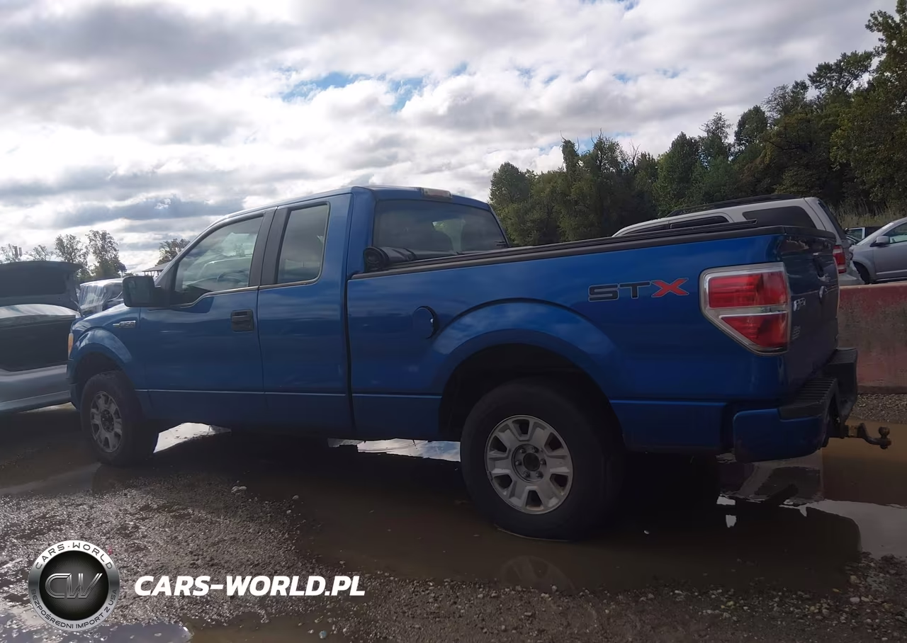 2011 Ford F-150 Stx VIN:1FTEX1CM2BKD00877 - 14