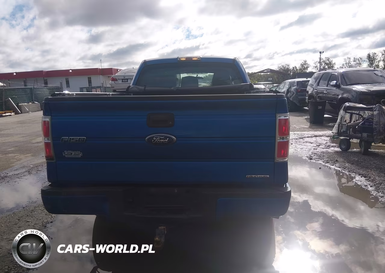 2011 Ford F-150 Stx VIN:1FTEX1CM2BKD00877 - 16