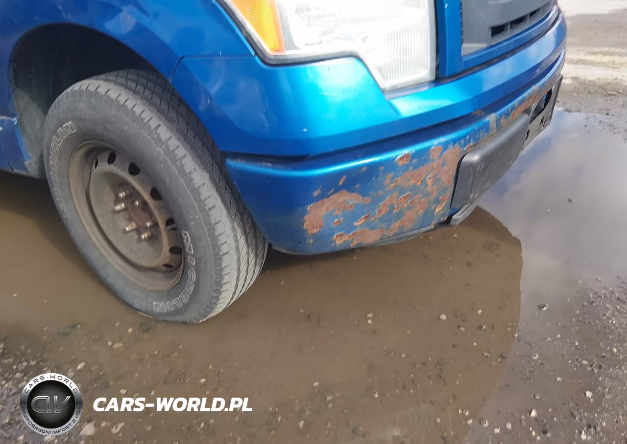 2011 Ford F-150 Stx VIN:1FTEX1CM2BKD00877 - 19