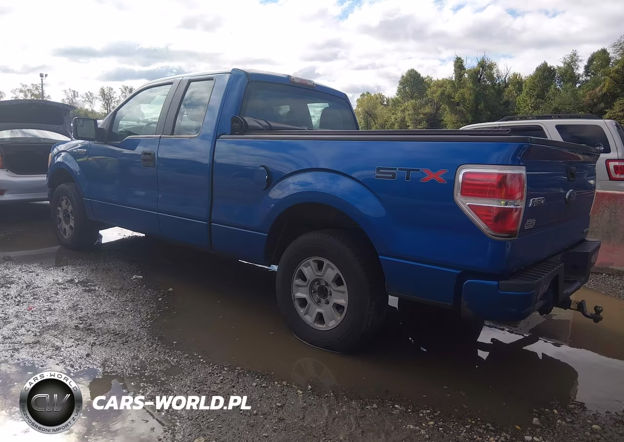 2011 Ford F-150 Stx VIN:1FTEX1CM2BKD00877 - 3