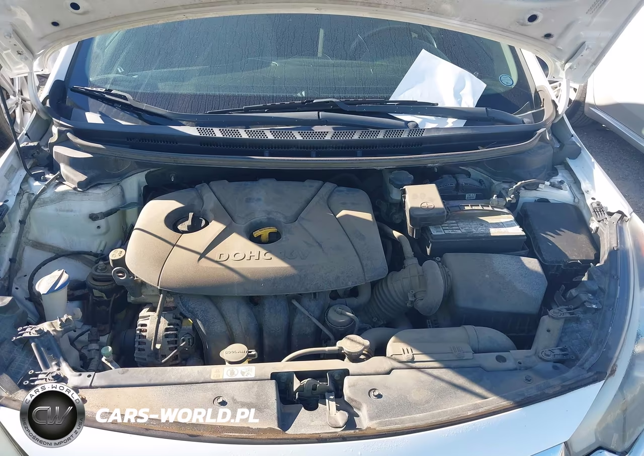 2014 Kia Forte Lx VIN:KNAFX4A65E5144215 - 10