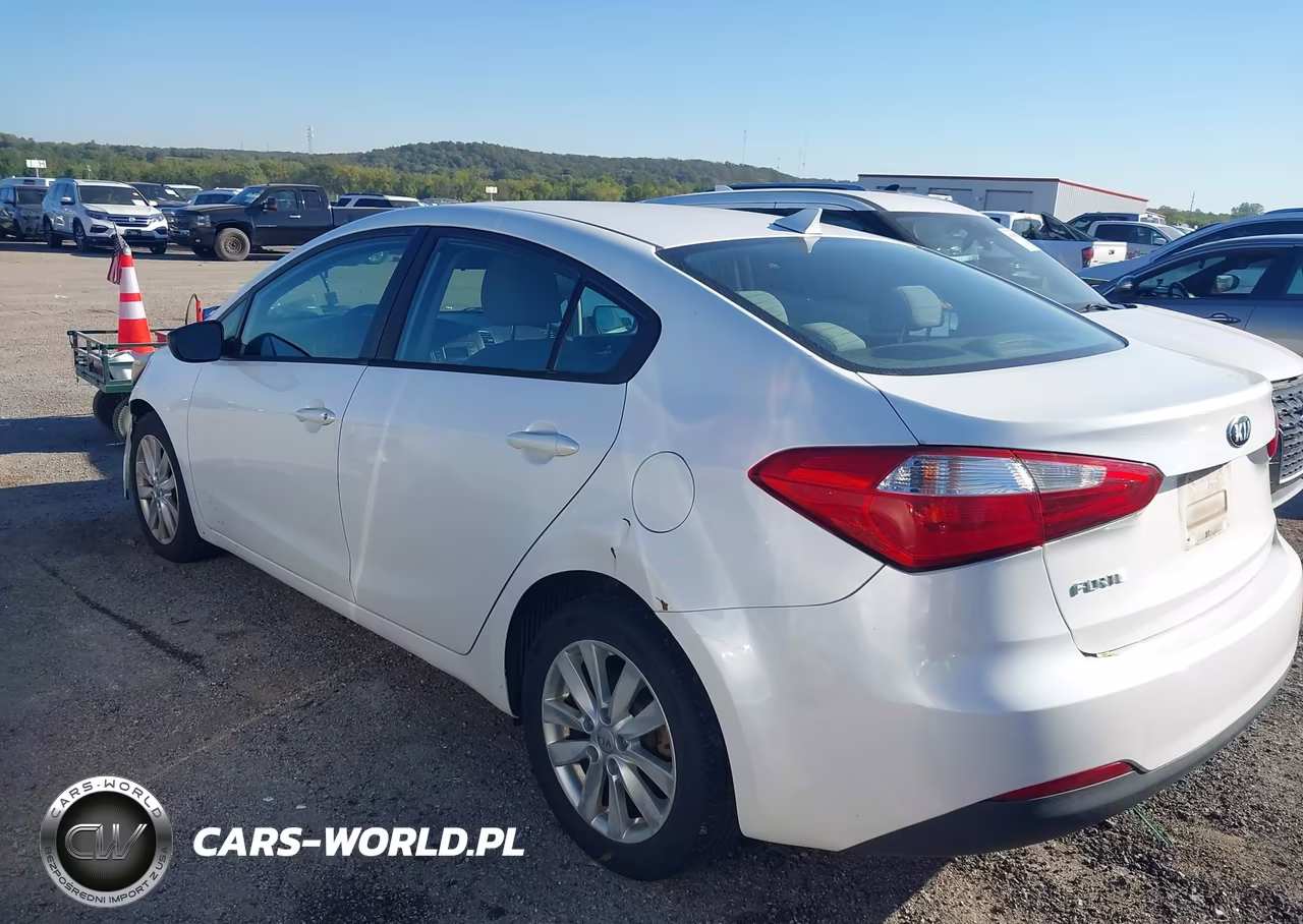2014 Kia Forte Lx VIN:KNAFX4A65E5144215 - 3