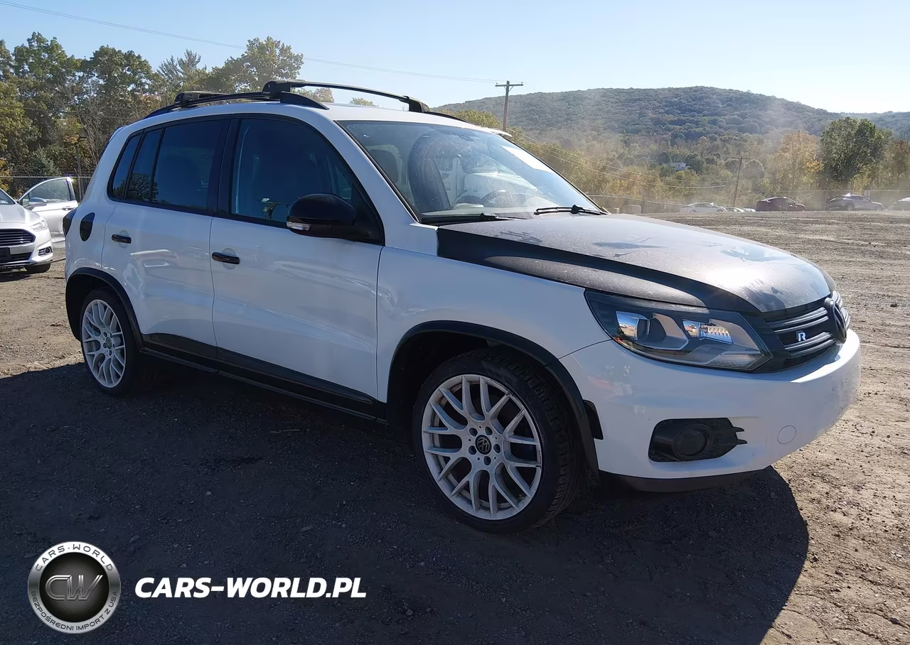 2014 Volkswagen Tiguan R-Line VIN:WVGBV3AX4EW113991 - 1