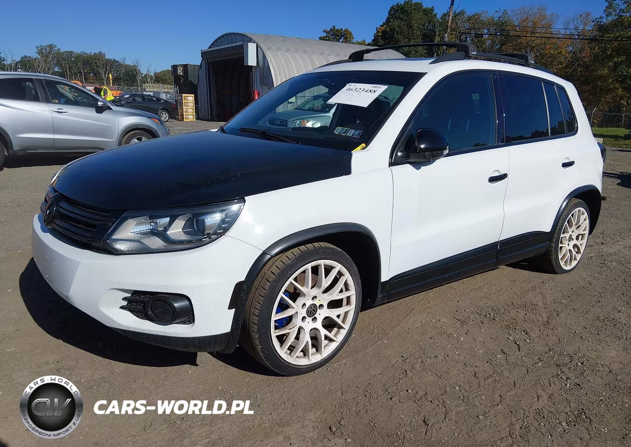 2014 Volkswagen Tiguan R-Line VIN:WVGBV3AX4EW113991 - 2