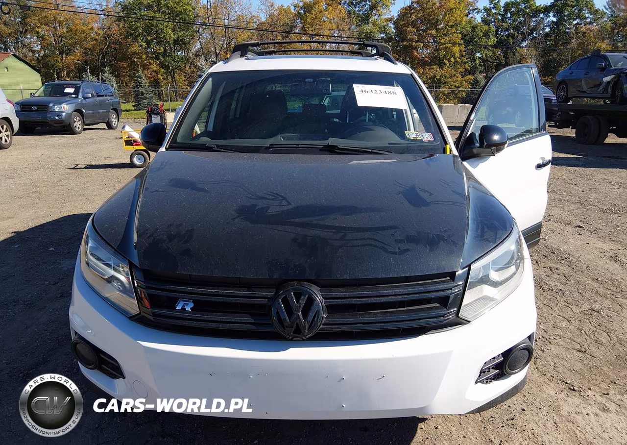 2014 Volkswagen Tiguan R-Line VIN:WVGBV3AX4EW113991 - 6