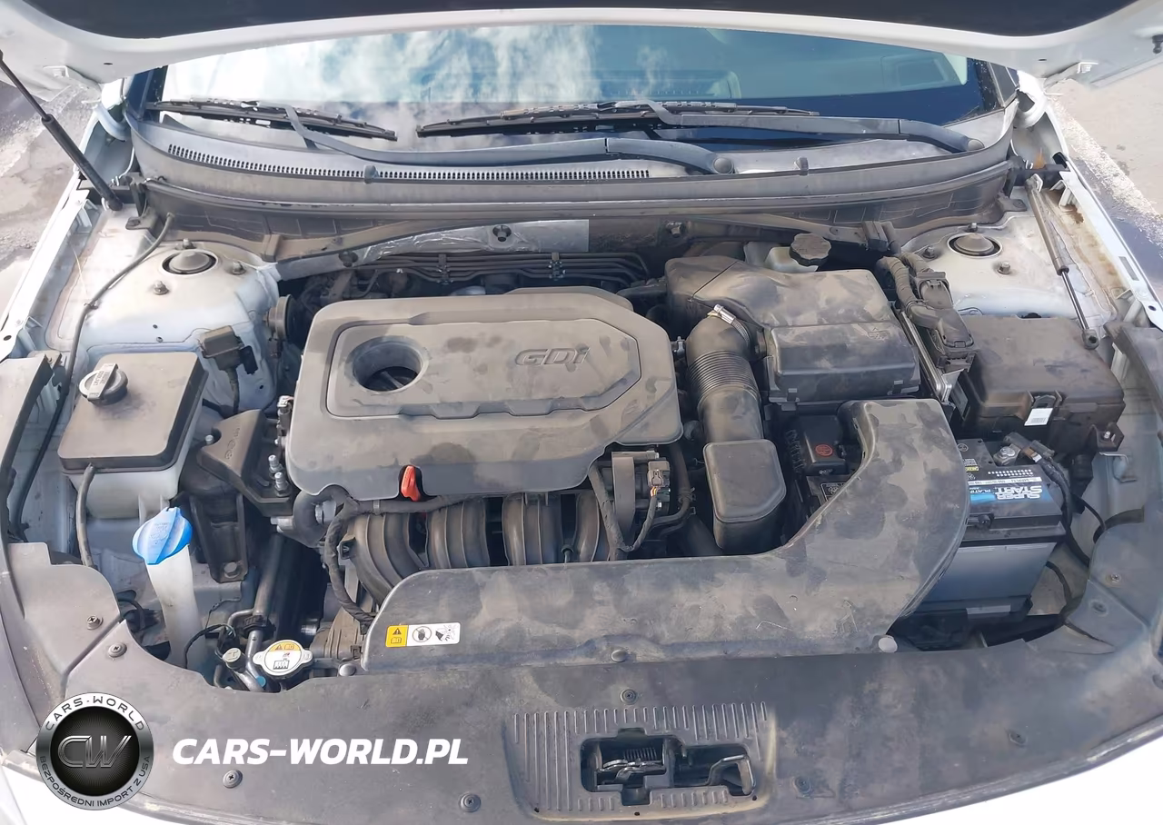 2015 Hyundai Sonata Se VIN:5NPE24AF0FH073987 - 10