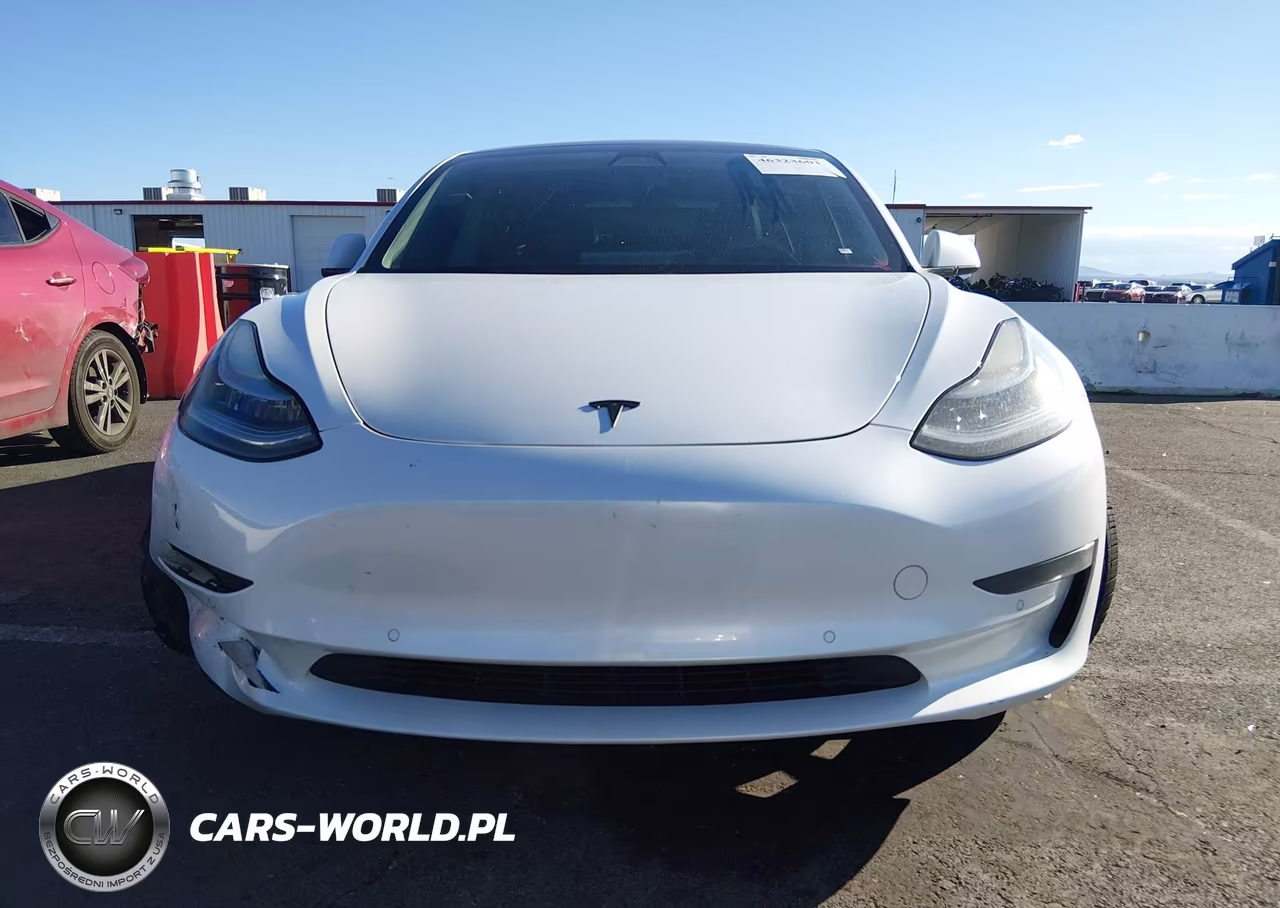 2020 Tesla Model 3 Standard Range Plus Rear-Wheel Drive-Standard Range Rear-Wheel Drive VIN:5YJ3E1EA6LF745864 - 11