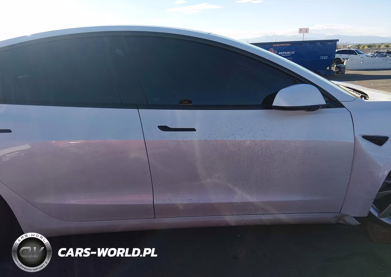 2020 Tesla Model 3 Standard Range Plus Rear-Wheel Drive-Standard Range Rear-Wheel Drive VIN:5YJ3E1EA6LF745864 - 12
