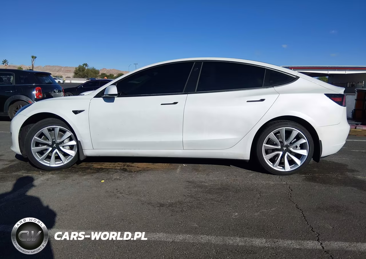 2020 Tesla Model 3 Standard Range Plus Rear-Wheel Drive-Standard Range Rear-Wheel Drive VIN:5YJ3E1EA6LF745864 - 13