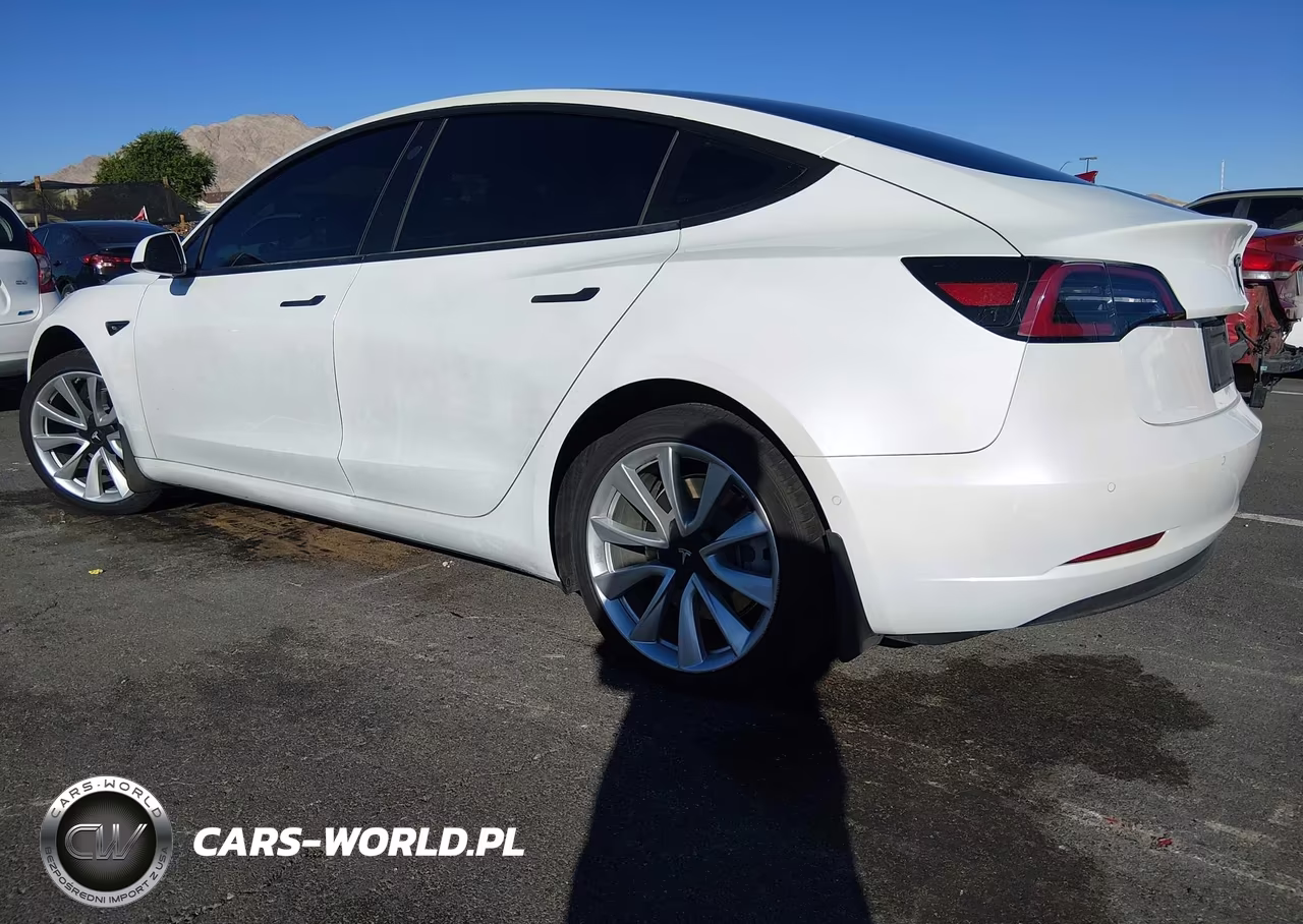 2020 Tesla Model 3 Standard Range Plus Rear-Wheel Drive-Standard Range Rear-Wheel Drive VIN:5YJ3E1EA6LF745864 - 3