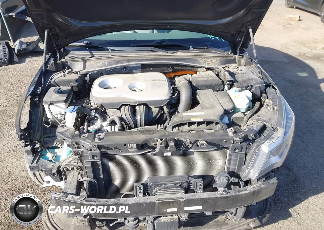 2017 Kia Optima Plug-In Hybrid Ex VIN:KNAGV4LD5H5010928 - 10