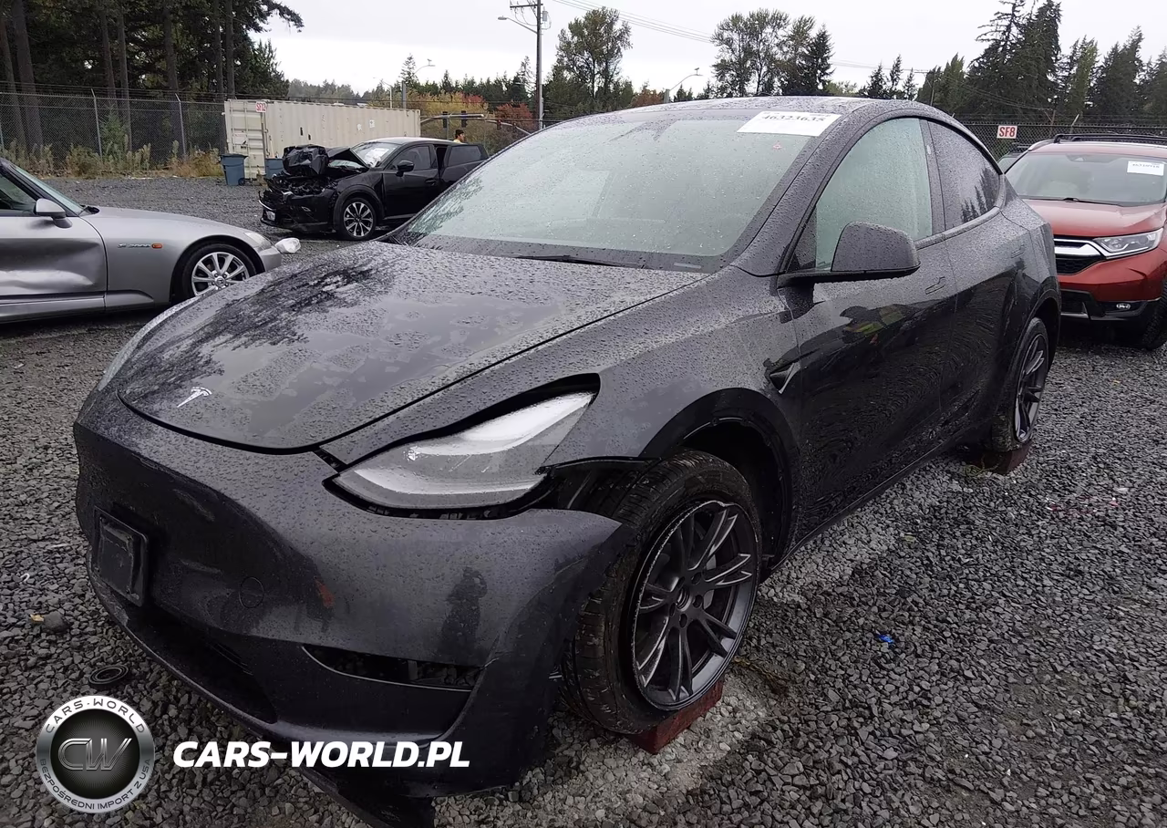 2024 Tesla Model Y Long Range Dual Motor All-Wheel Drive VIN:7SAYGDEE2RF166273 - 2